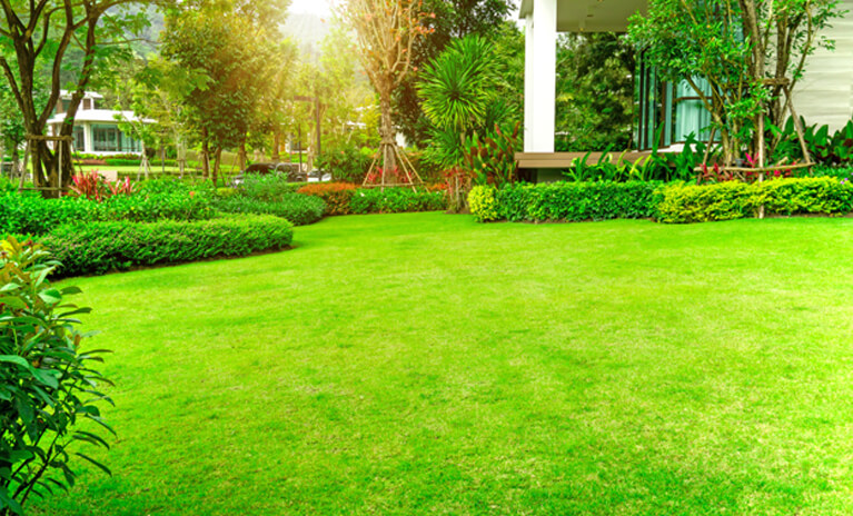 top lawn maintenance tips for enhancing the look of your home’s exterior 