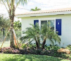 purple panel shutters with pineapple cutouts on white stucco tropical homes