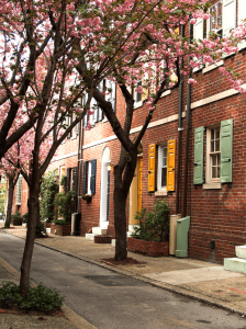 Street with colorful yellow, mint, and navy shutters on brick row homes.