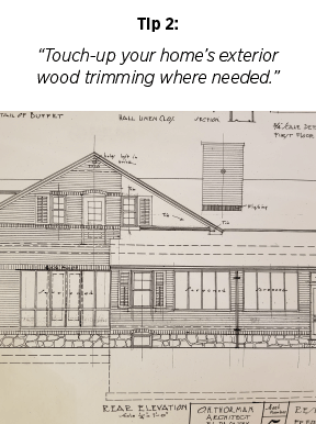 elizabeth-home-blueprint-original-landscape-drawing